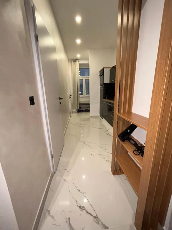 Deluxe Apartment Favoriten Viyana